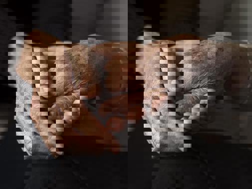 hands